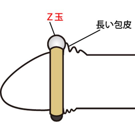 仮性 包茎 何 割